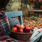 Apple Harvest