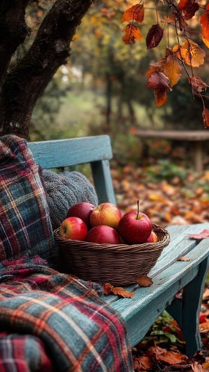 Apple Harvest